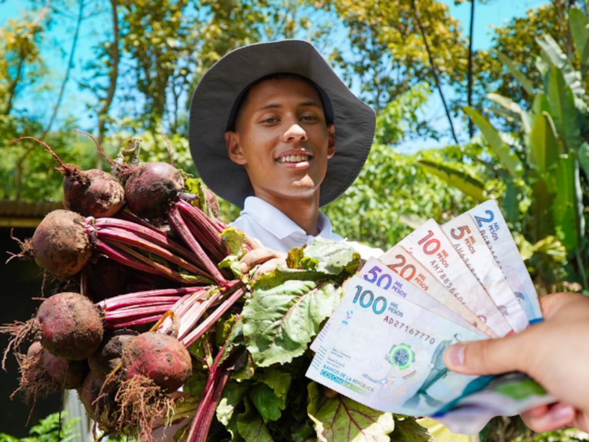 SENA abre 18 convocatorias del Fondo Emprender: cuánto prestan en 2025 y cómo participar