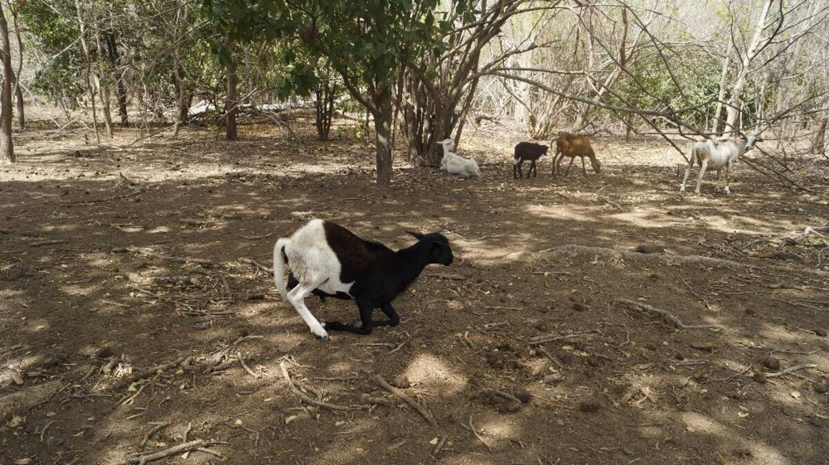 Recorrido de Caracol Radio por las zonas que aguantan sed. Fotos de Luis Enrique Rodríguez