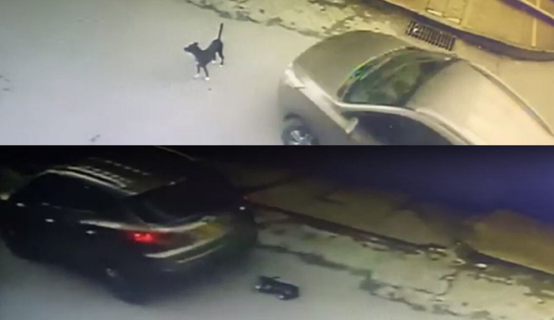 El caso quedó registrado en las cámaras de seguridad. 