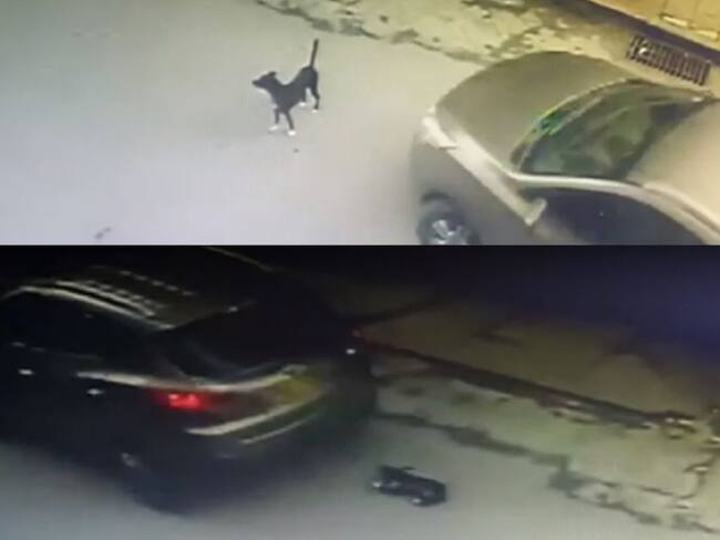 El caso quedó registrado en las cámaras de seguridad.