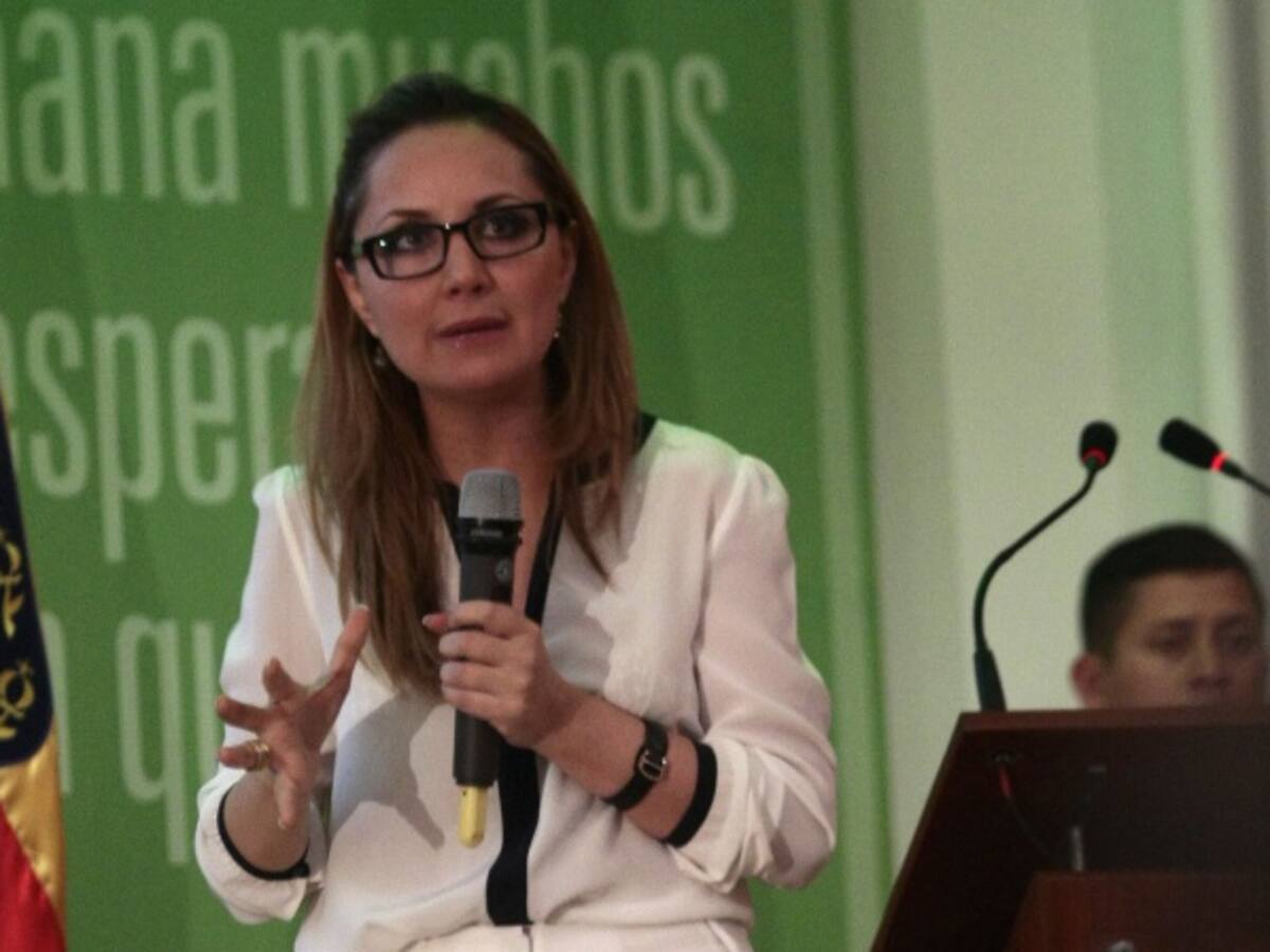 Supervisión a contratos de Springer está en manos del fiscal general
