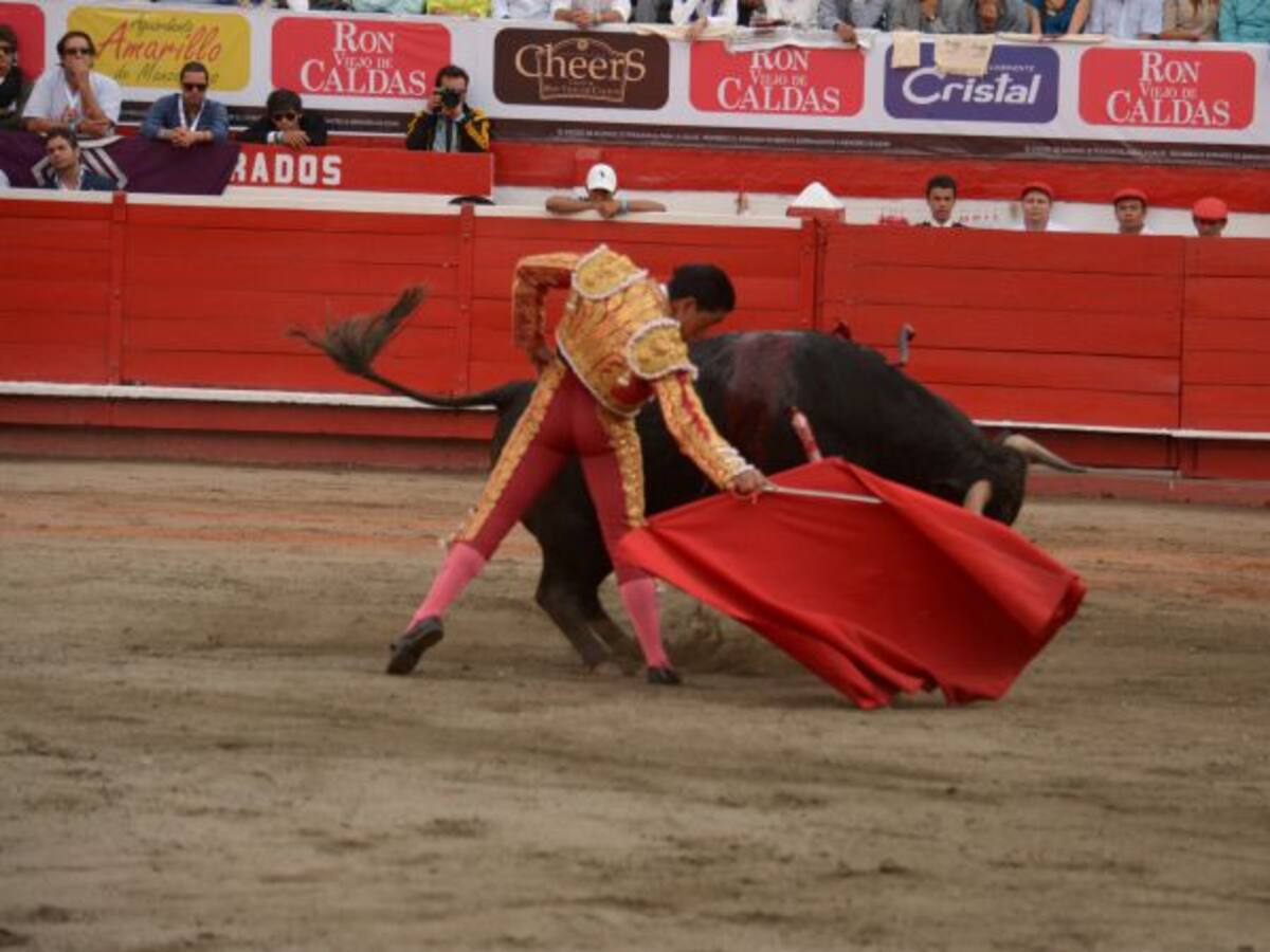 Procuraduría abre indagación preliminar a funcionarios de Alcaldía por 'fiesta taurina'