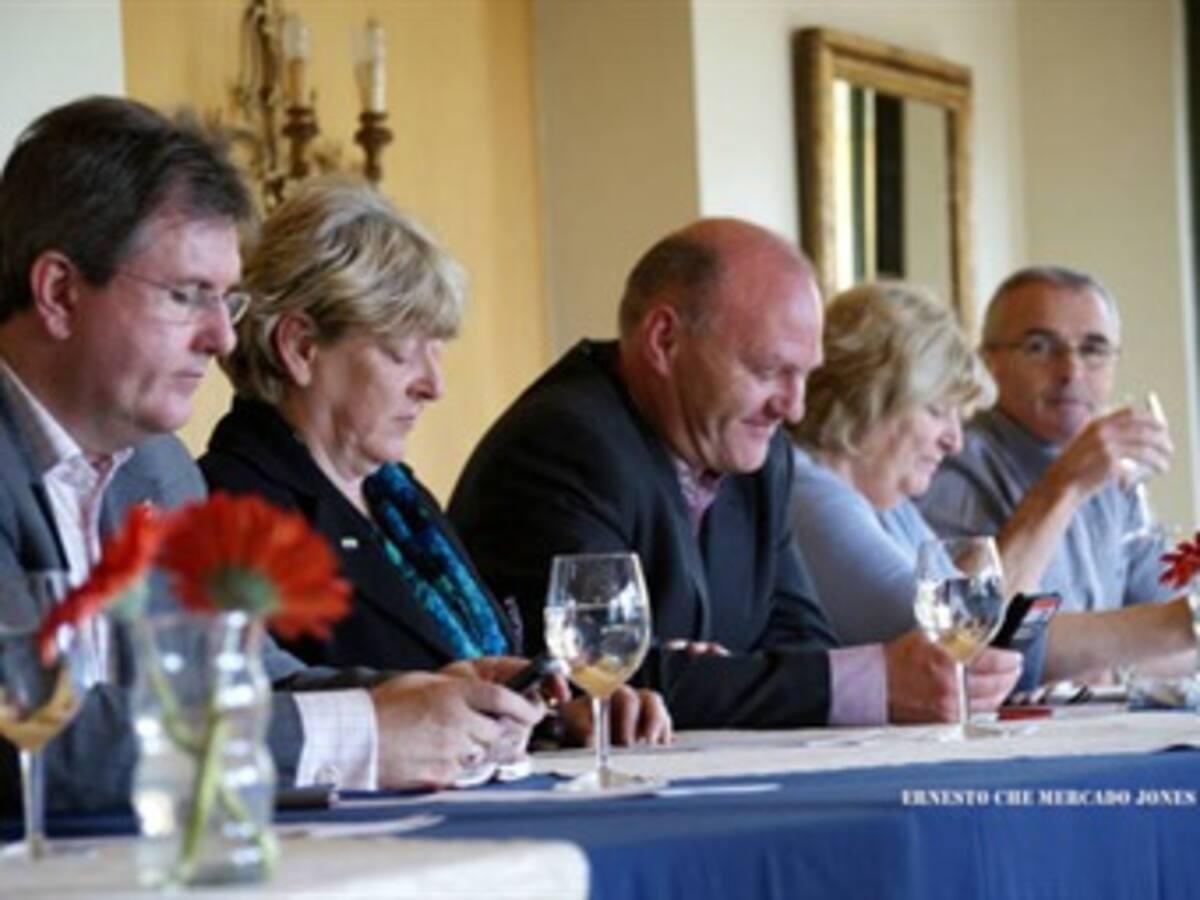 Delegación del congreso irlandés se reunió con las Farc en Cuba