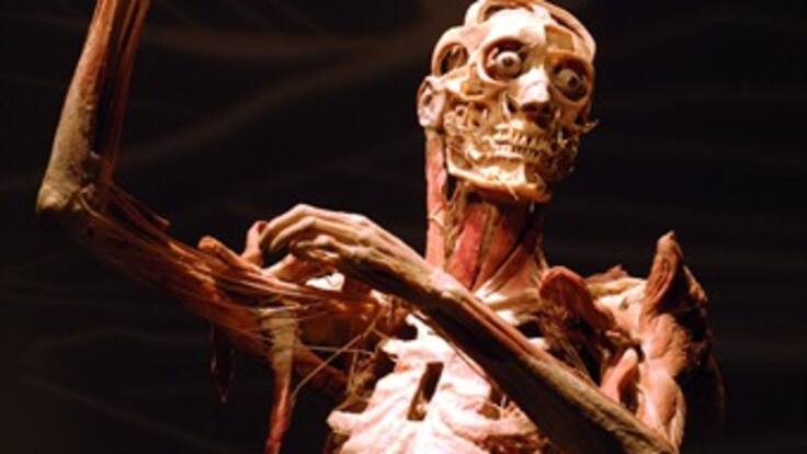 'Bodies real + fascinante' llega a Bogotá el 30 de enero