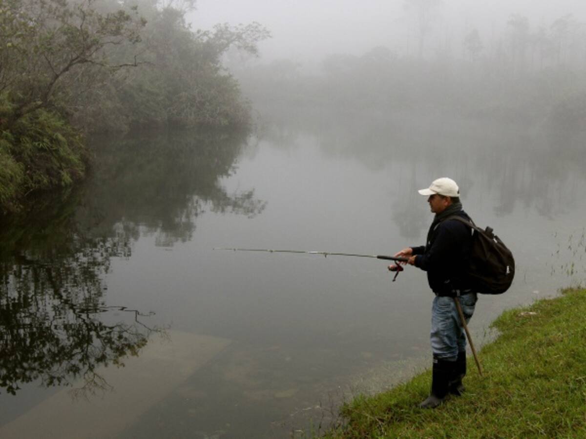 MinAmbiente tiene la obligación de hacer cumplir normas para la protección de humedales