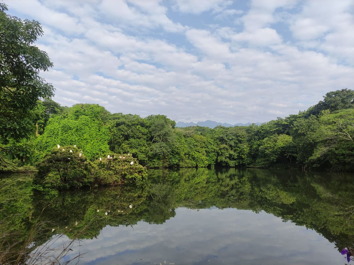 22 de mayo Cali conmemora el día de la Biodiversidad camino a la COP16