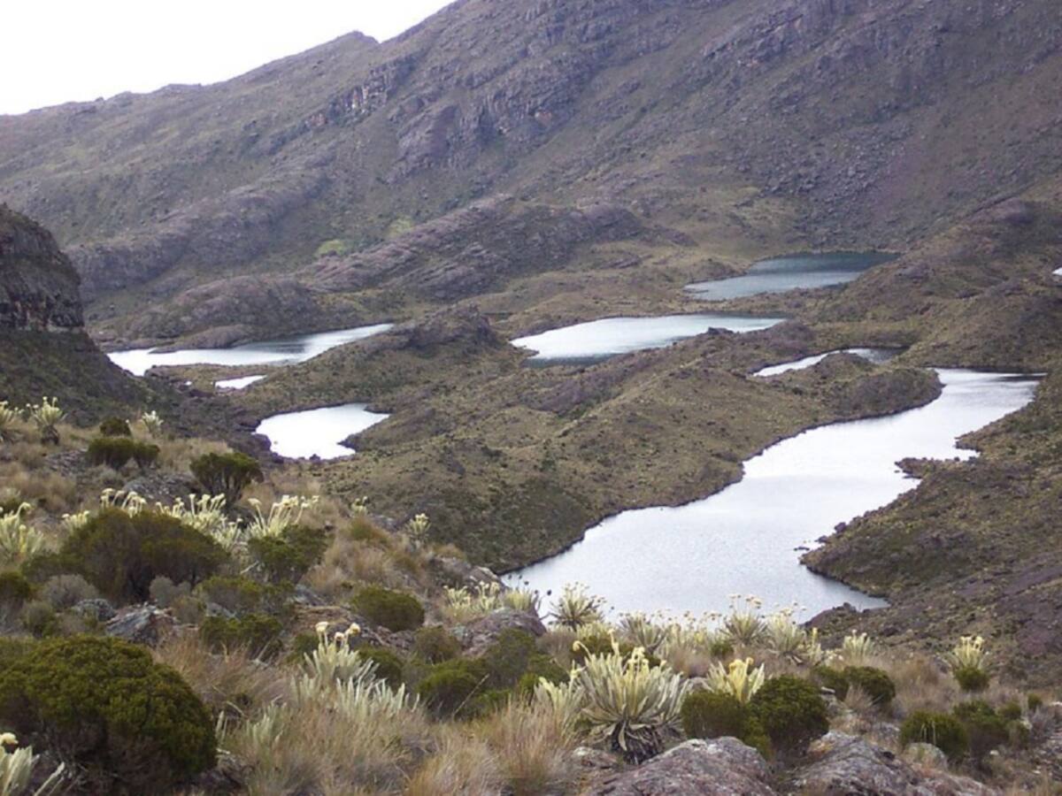 Niegan pretensiones de acción de tutela para delimitar páramo de Santurbán
