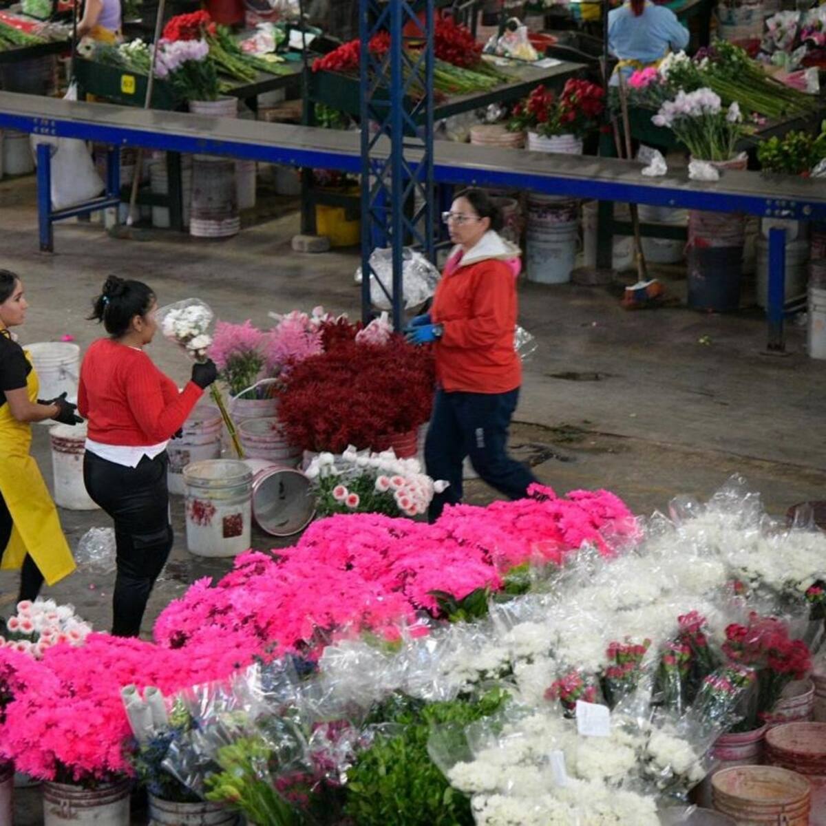Los nuevos aranceles podrían traer impactos negativos en las ventas a EE. UU.: Cámara de Comercio