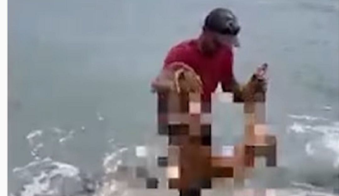 Video | San Andrés: polémica hombre lanza perro al mar para atraer tiburones