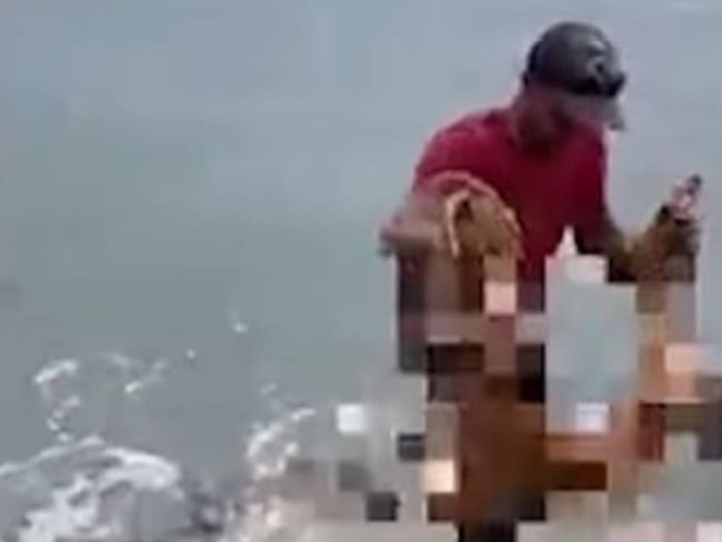 Video | San Andrés: polémica hombre lanza perro al mar para atraer tiburones