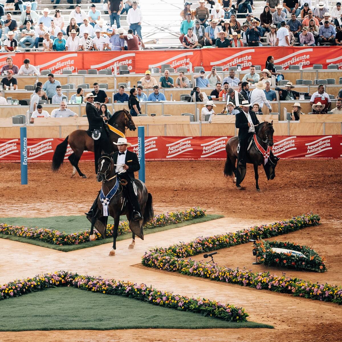 ¡Agéndese! Bucaramanga será sede de la Exposición Nacional Equina 2026