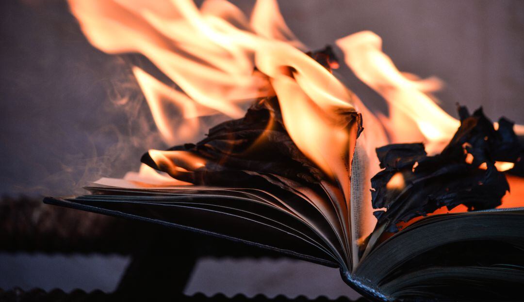 Libros sobre Harry Potter y Crepúsculo fueron lanzados al fuego por un cura