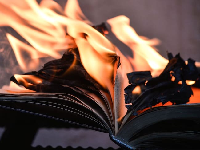 Libros sobre Harry Potter y Crepúsculo fueron lanzados al fuego por un cura