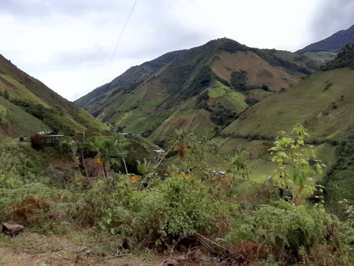 Con show para adultos, el Clan del Golfo seduce a menores en Ituango