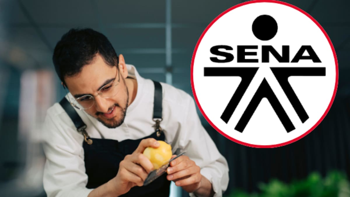 SENA ofrece curso virtual GRATUITO de cocina internacional: pasos para aplicar y LINK oficial