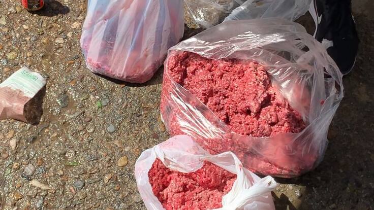 Hector Cáceres, técnico del equipo de Inspección, Vigilancia y Control de la Secretaría de Salud y Ambiente