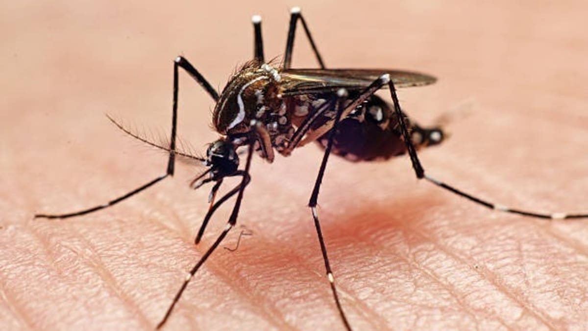 Autoridades reportan más de 800 casos de dengue en Montería