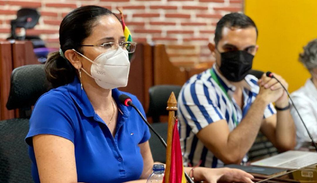 En audiencia pública se debatió en el Concejo la solicitud de un traslado presupuestal de $2.000 millones realizar estas obras