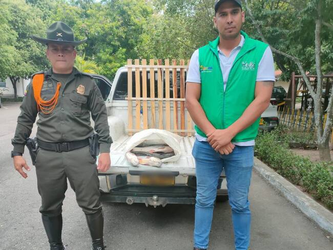 Policía en Neiva logró la incautación de 39 kilogramos de pescado basa