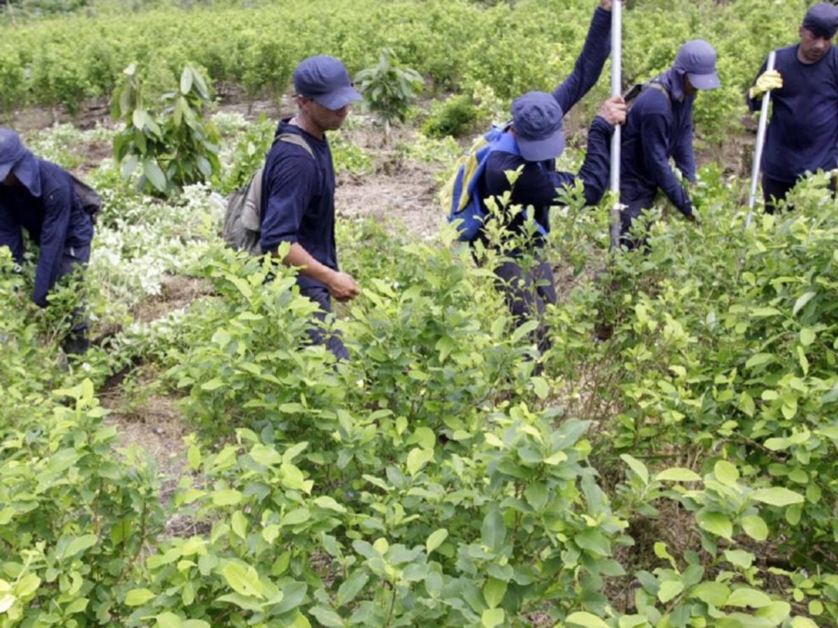 Autoridades en el Catatumbo advierten aumento de violencia