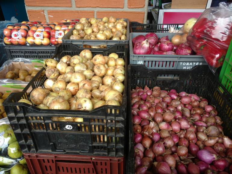 Con 40% de aumento están los precios de las cebollas en Antioquia 