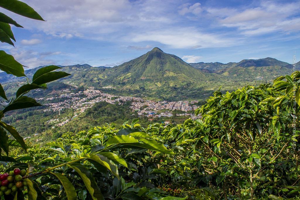 La Unión, Nariño (Alcaldía de La Unión)