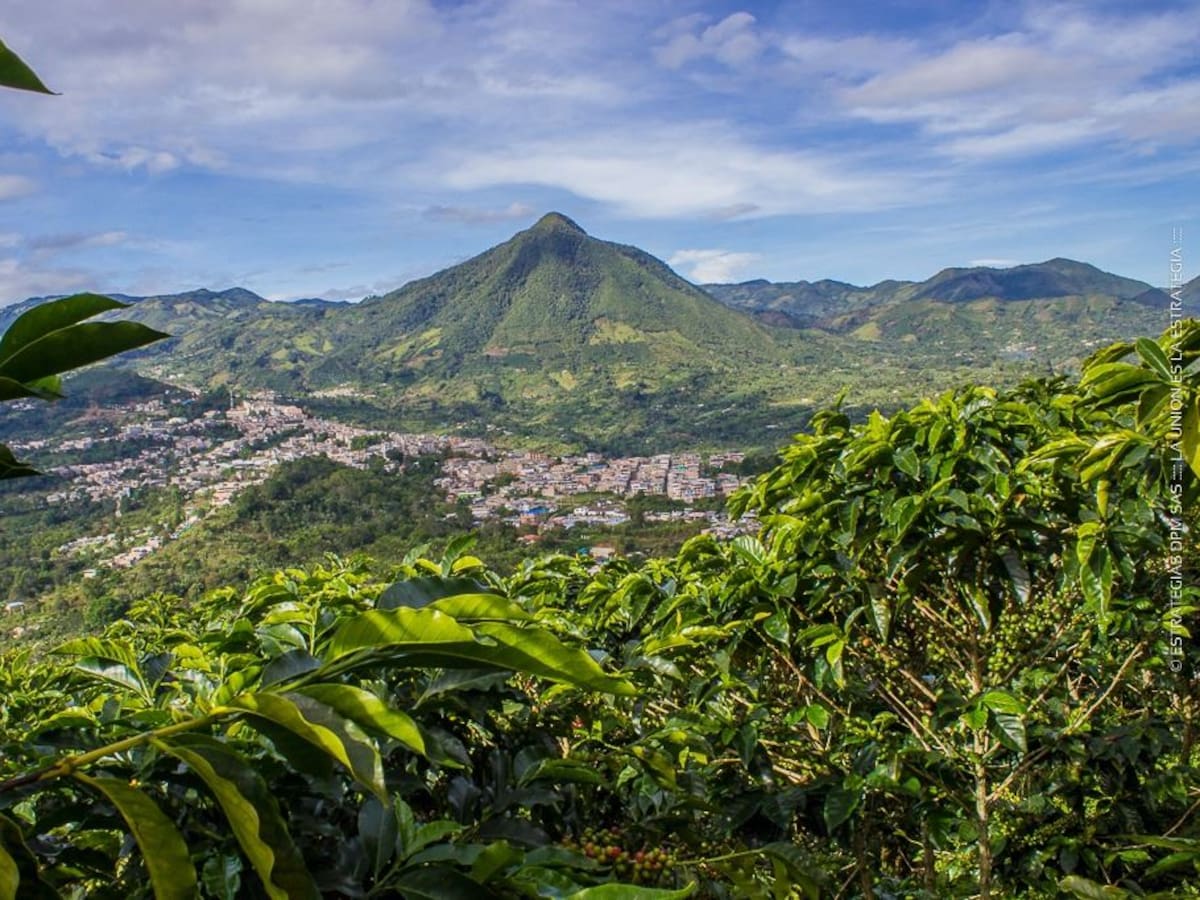 De dónde es el gentilicio Venteño: Pertenece a municipio de Nariño con 33.456 habitantes
