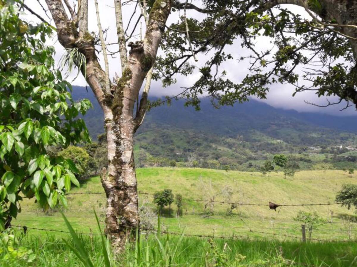 Lunes 28 de mayo, las noticias más importantes de Armenia y Quindío