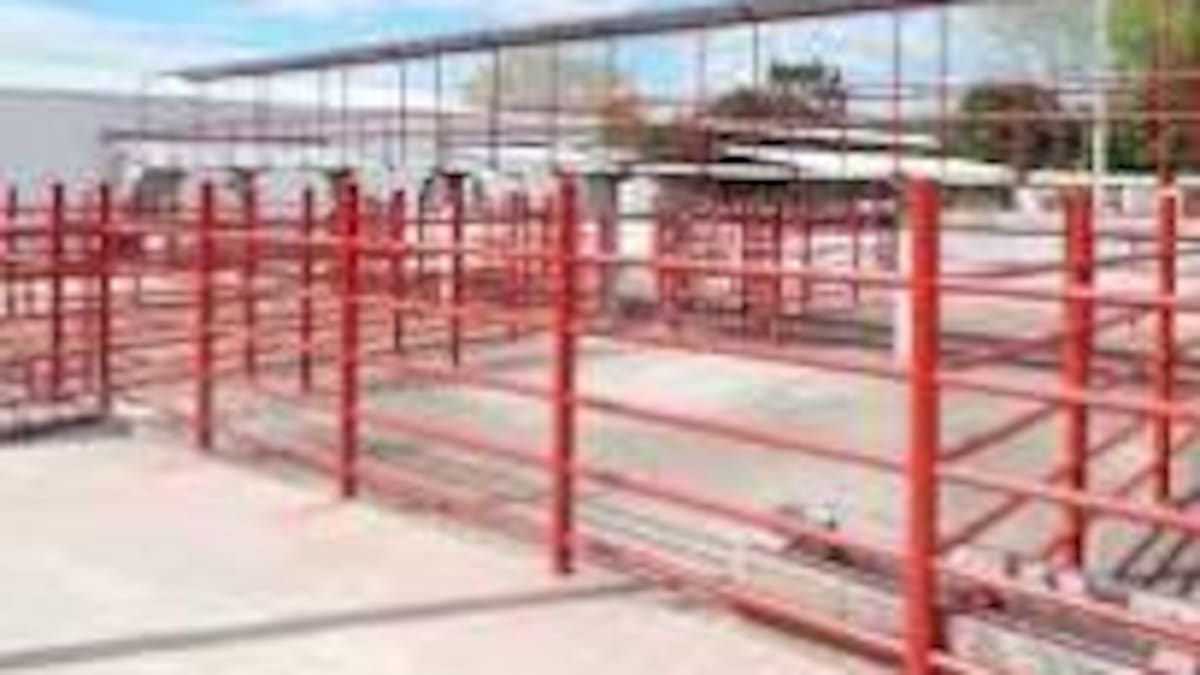 Alta informalidad en el sacrificio de ganado preocupa al sector cárnico en el Huila