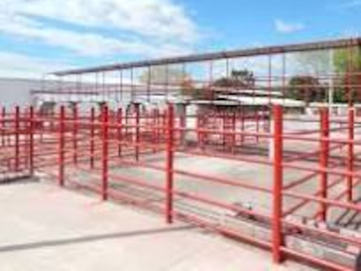 Alta informalidad en el sacrificio de ganado preocupa al sector cárnico en el Huila