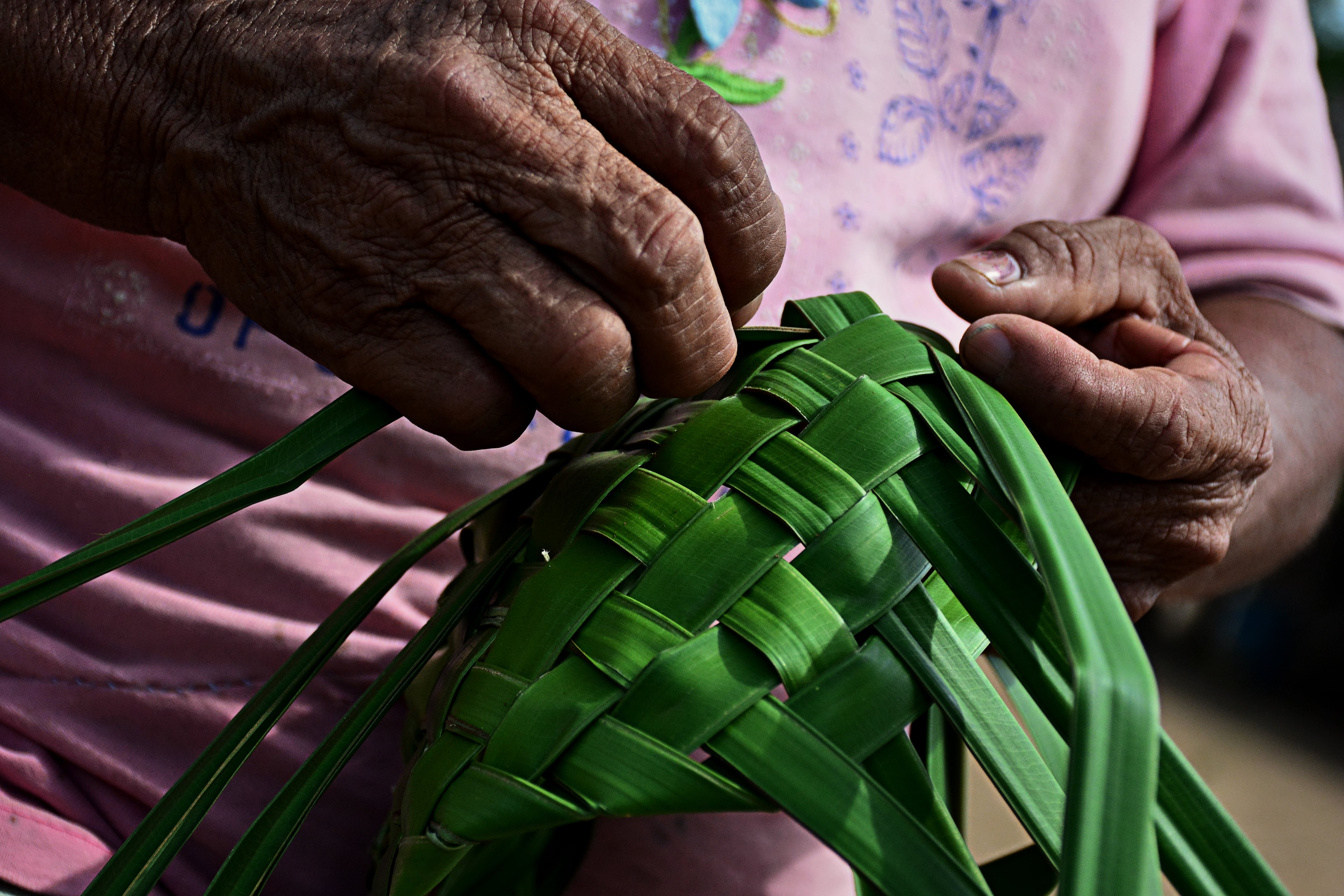 A Colombian indigenous craftswoman weaving a baskets from palm leaves
