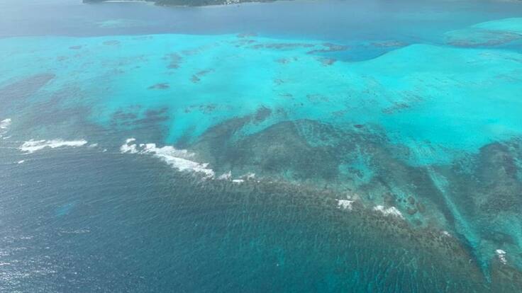 Iota causó la pérdida de 70 años de crecimiento de manglar