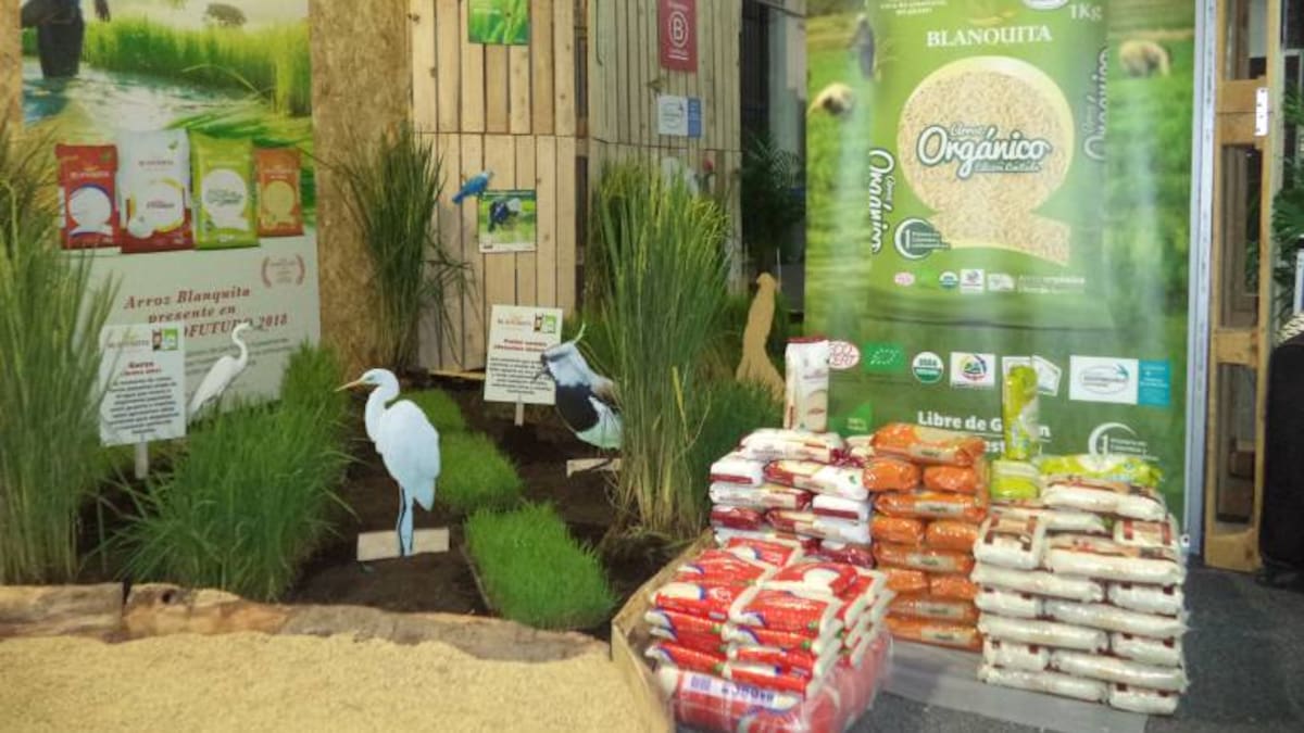 Arroz orgánico, una alternativa saludable
