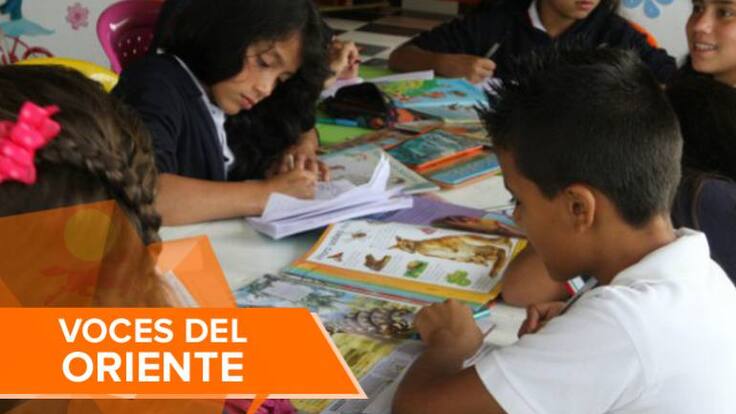 ¿Los colegios de Bucaramanga han incluido en sus manuales de convivencia los derechos de las minorías sexuales?