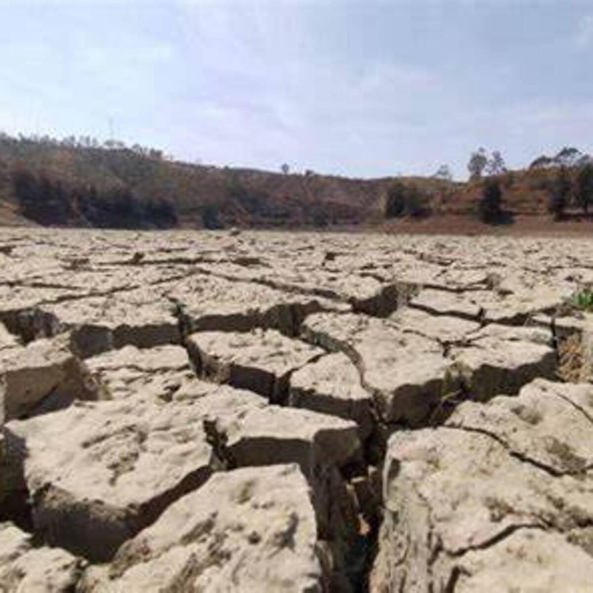“Fenómeno del Niño afecta el abastecimiento de agua en el Huila” CAM