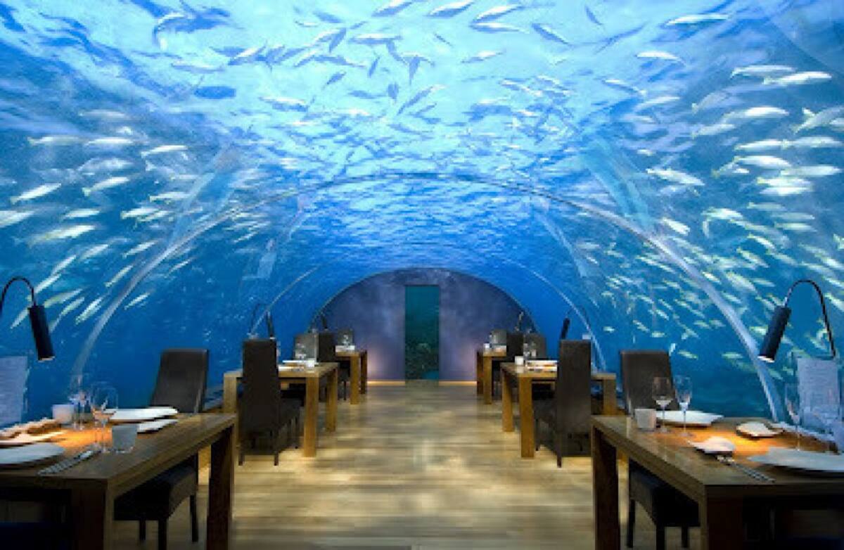 Ithaa Undersea Restaurant, ubicado en Rangali, Maldivas, este esta debajo del mar. 