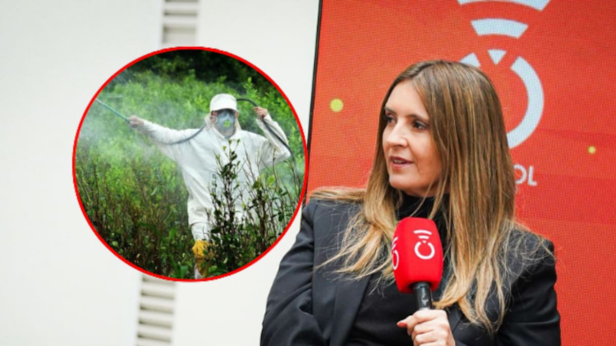 “Usted puede fumigar con vinagre”: Paloma Valencia explica plan de sustitución de cultivos