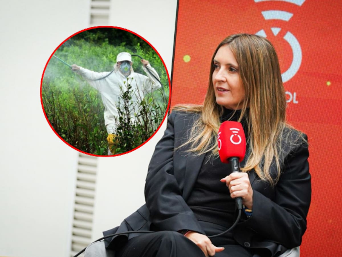 “Usted puede fumigar con vinagre”: Paloma Valencia explica plan de sustitución de cultivos