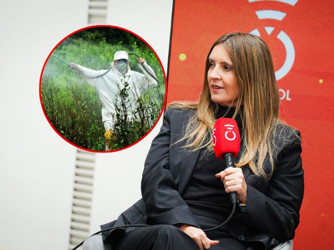 “Donde hay que fumigar, se fumiga”. Paloma Valencia explica plan de erradicación de cultivos. Caracol Radio / Colprensa