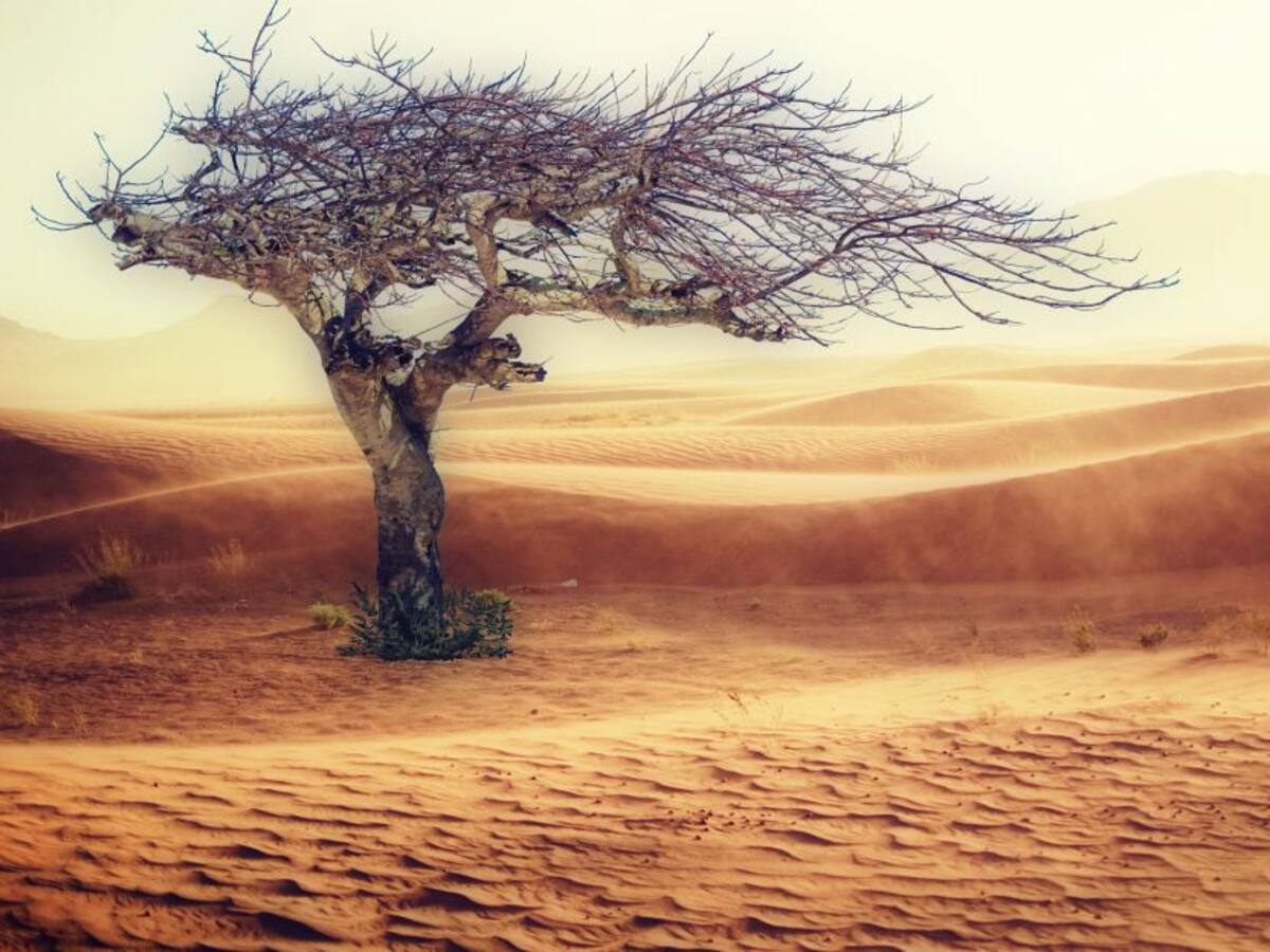 El calentamiento global puede provocar fenómenos climáticos más extremos