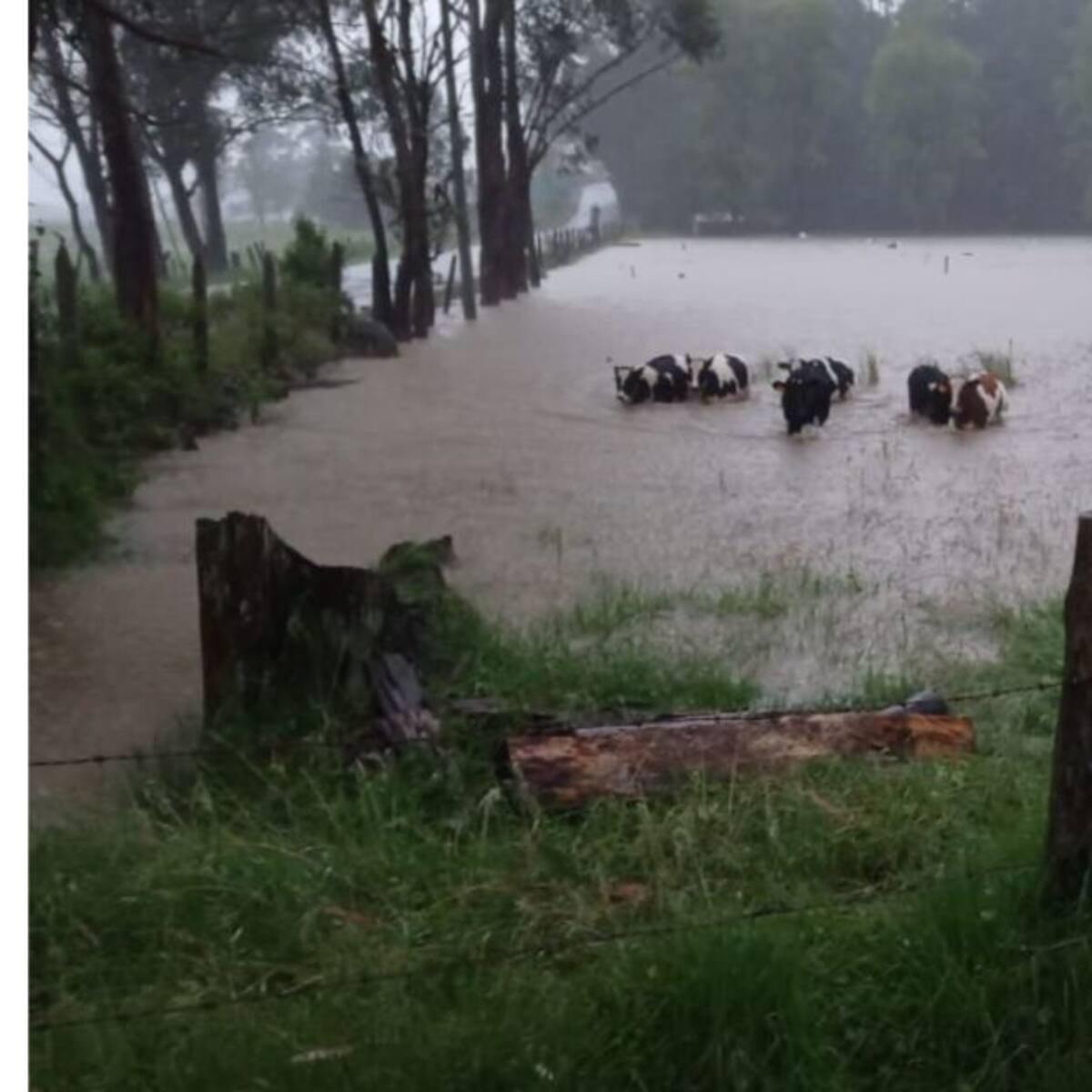 Por lo menos el 90 % de San Miguel de Sema se encuentra inundado