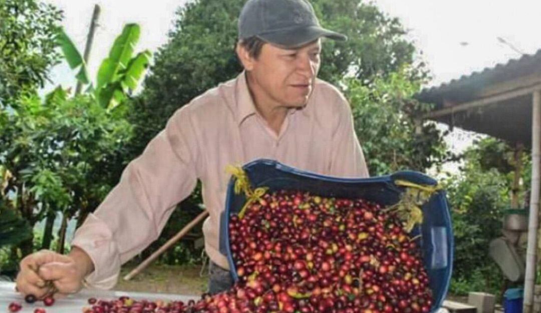 José Anargel Rodríguez, cultivador de Ibagué