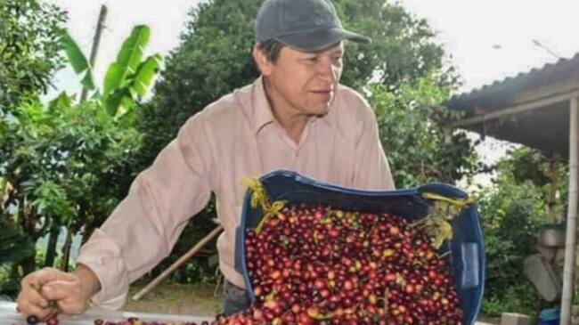 José Anargel Rodríguez, cultivador de Ibagué