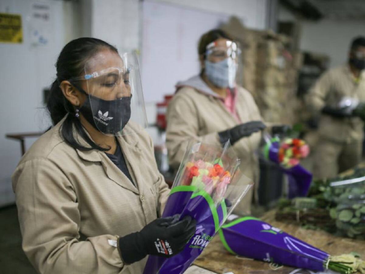 "Muy buena la cifra de crecimiento, pero debemos aumentar el empleo": Mejía