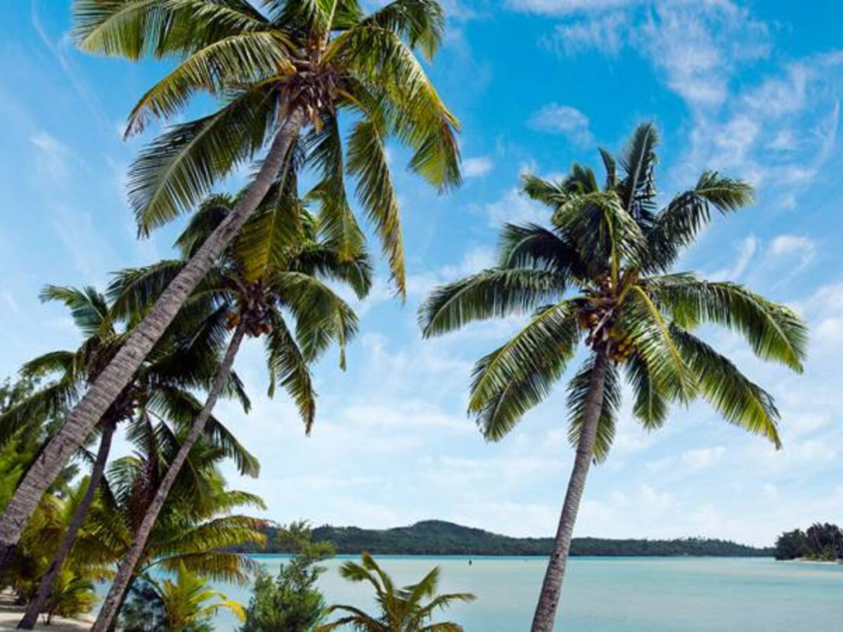 Las 'listas de deseos' nos ayudan a ser más viajeros