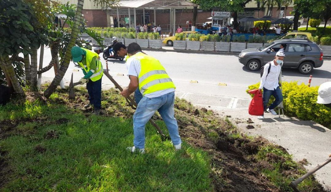 Embellecimiento de la glorieta del Terminal de Transporte