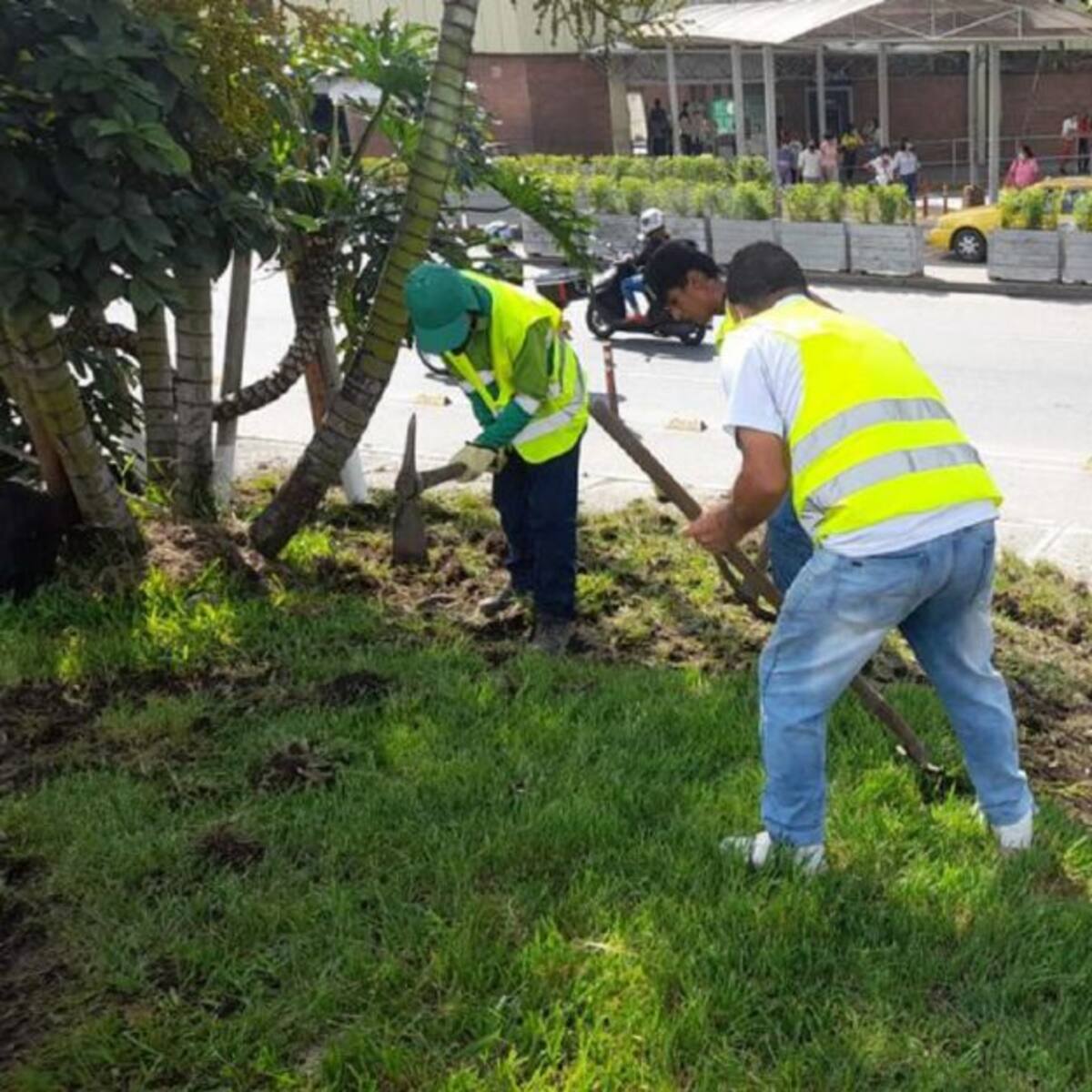 Varios puntos de Ibagué son embellecidos