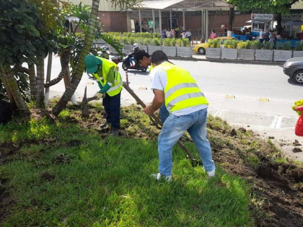 Varios puntos de Ibagué son embellecidos
