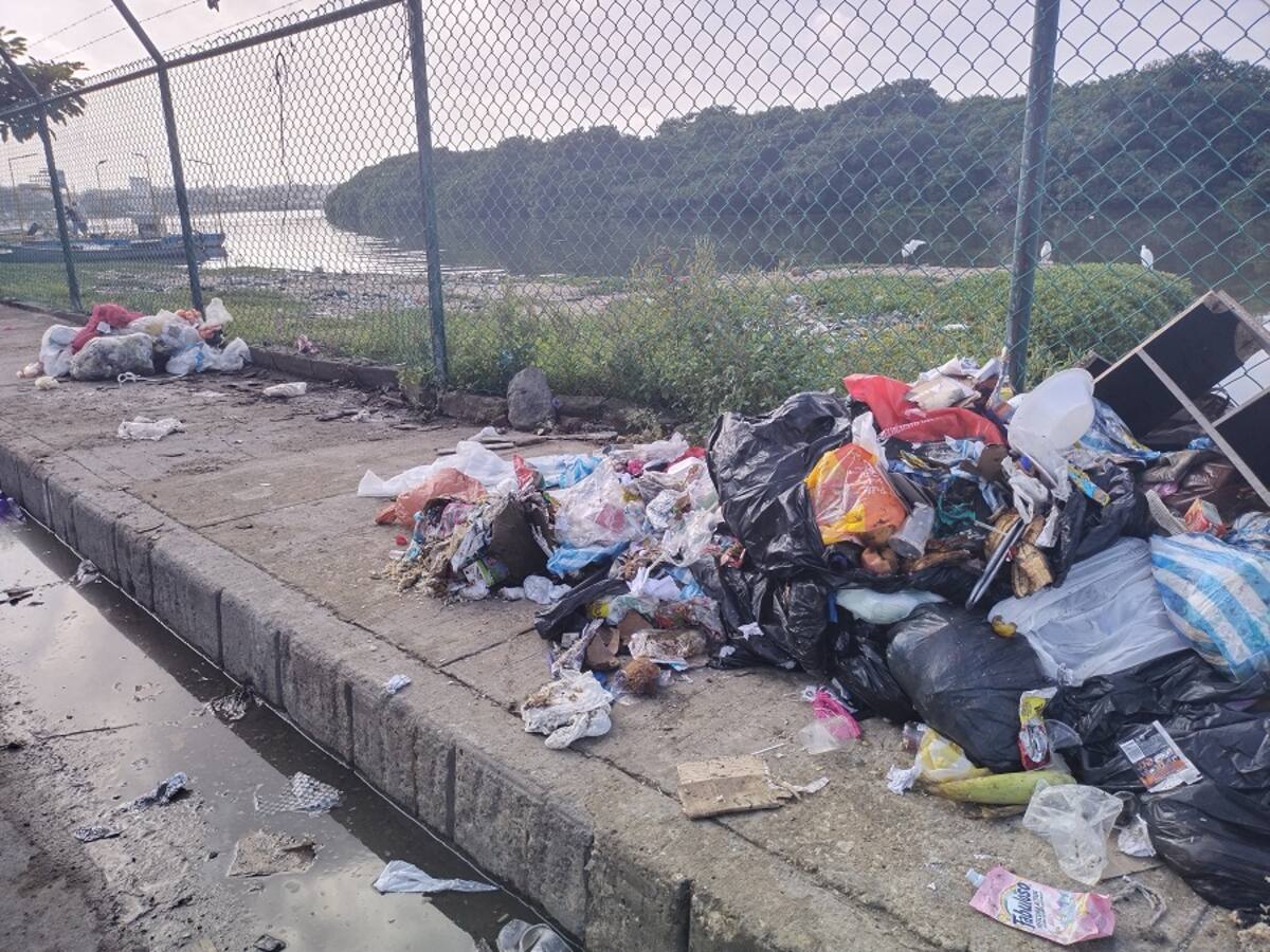 Cartagena está llena de basureros satélites: Concejo Distrital