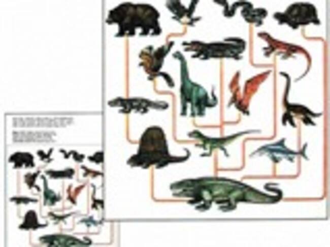 Científico dice que 'el árbol de la vida' de Darwin es erróneo
